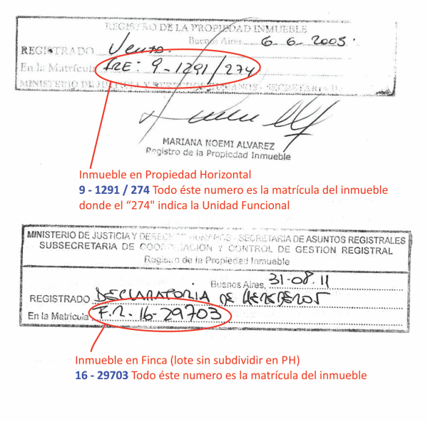 Ejemplo donde encontrar el numero de matricula